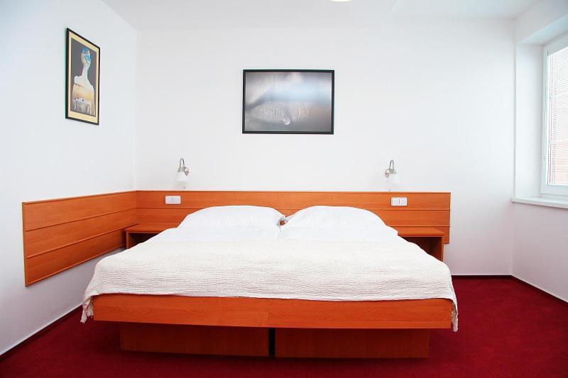 Penzion Bocheta Nový Jičín Kamer foto